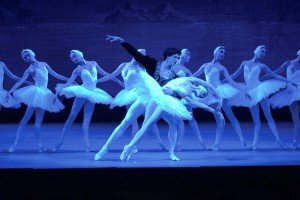 Sony Centre for the Performing Arts Swan Lake